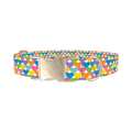 Colorful Heart Dog Collar - metal silver