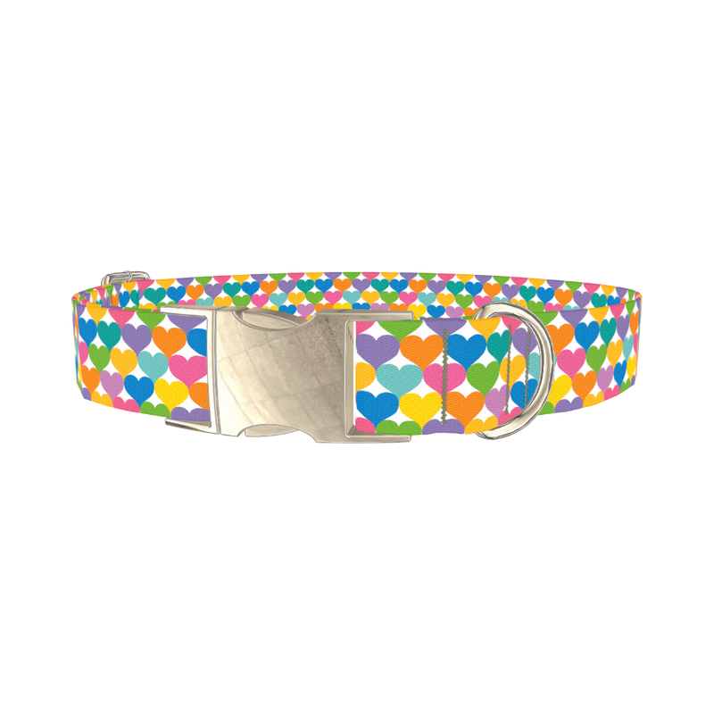 Colorful Heart Dog Collar - metal silver