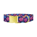 Colorful Monstera Dog Collar - Thumbnail 1