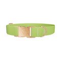 Seductive Thorns Color Dog Collar - Thumbnail 2