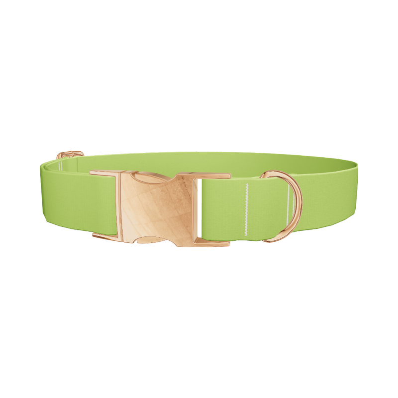 Seductive Thorns Color Dog Collar