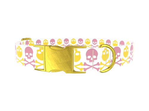 Multicolor Skull Dog Collar