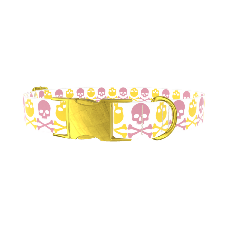 Multicolor Skull Dog Collar