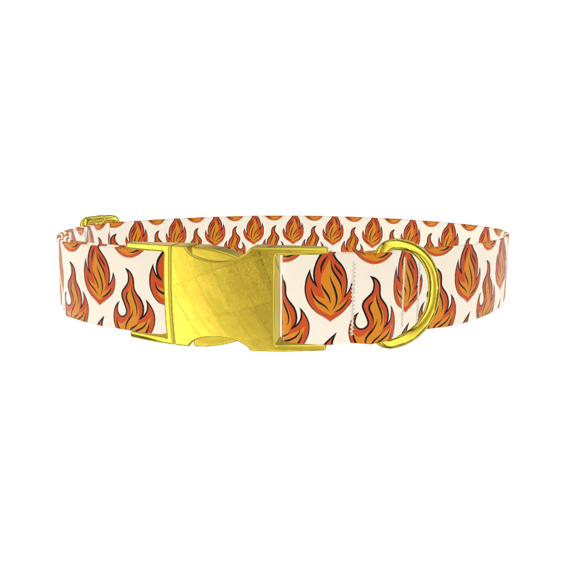 Blazing Flame Dog Collar