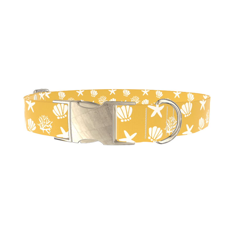 Beach Seashell Dog Collar