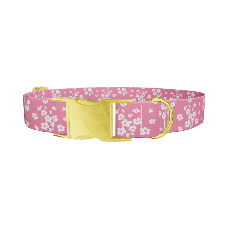 Floral Pink Dog Collar