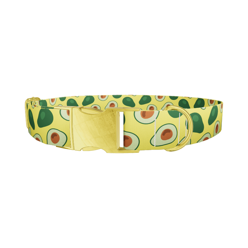 Avocado Fruit Dog Collar