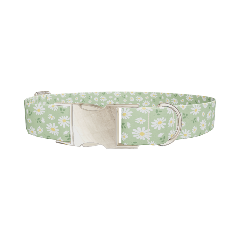 Green Daisy Dog Collar