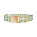Multicolor Tartan Dog Collar - Thumbnail 2