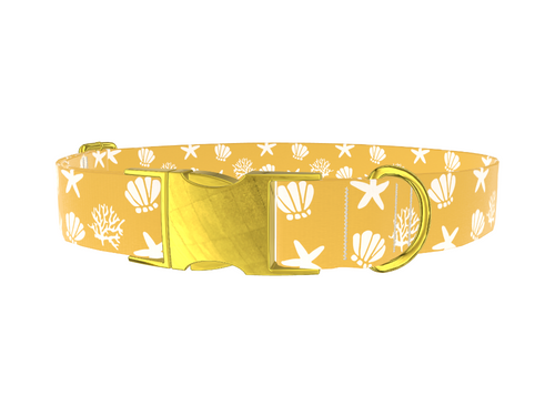 Beach Seashell Dog Collar