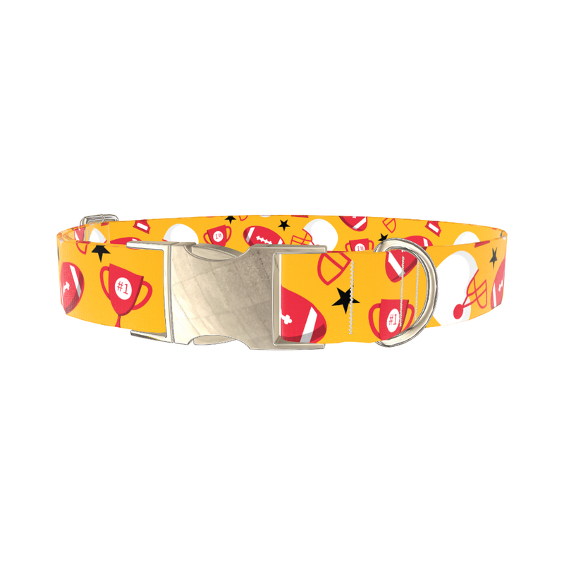 Football Trophy Dog Collar