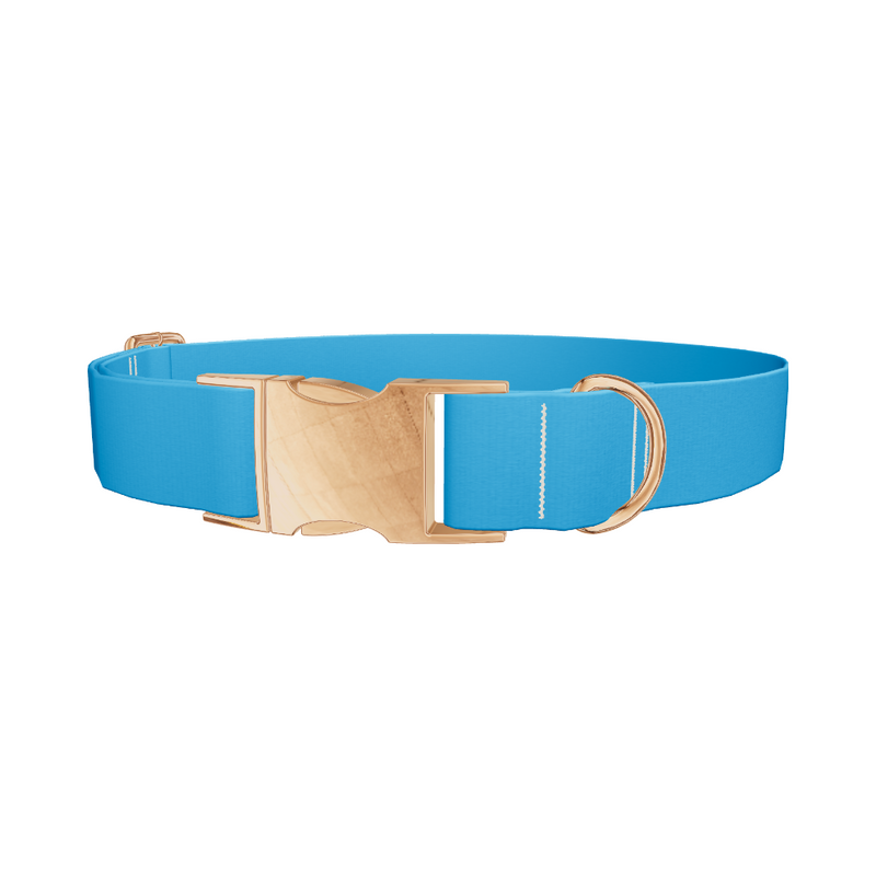 Atmosphere Color Dog Collar