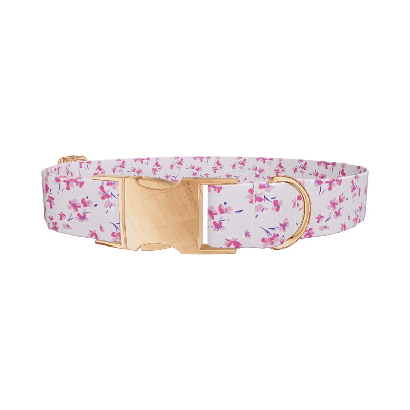 Floral Cherry Blossom Dog Collar