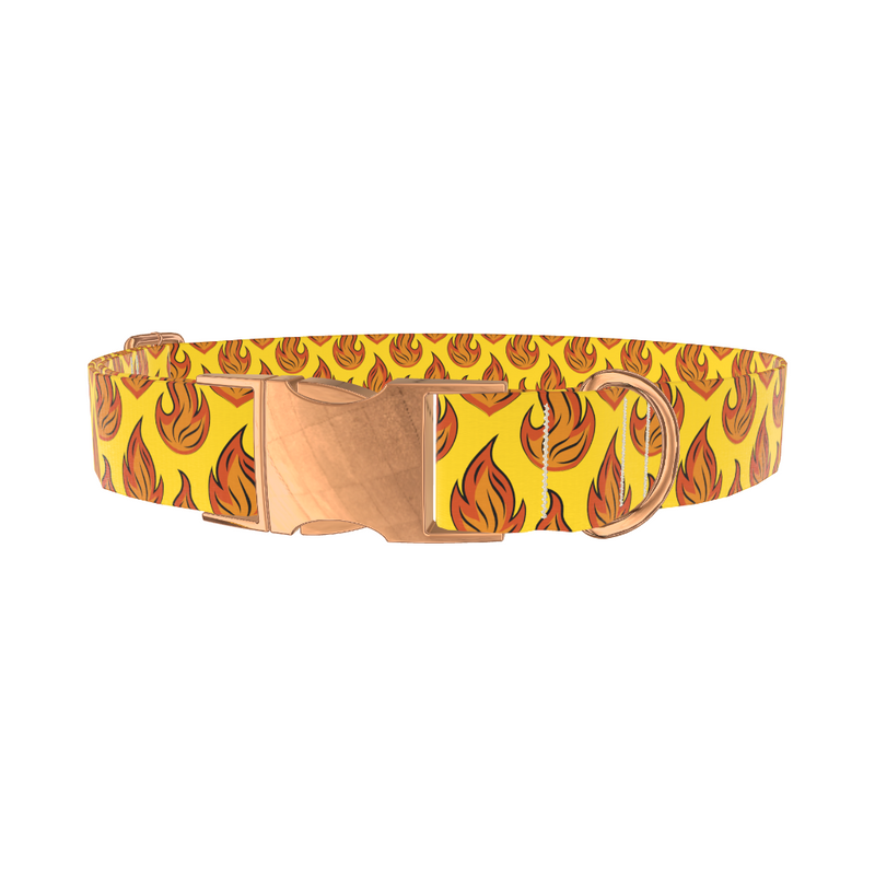 Flame Burst Dog Collar