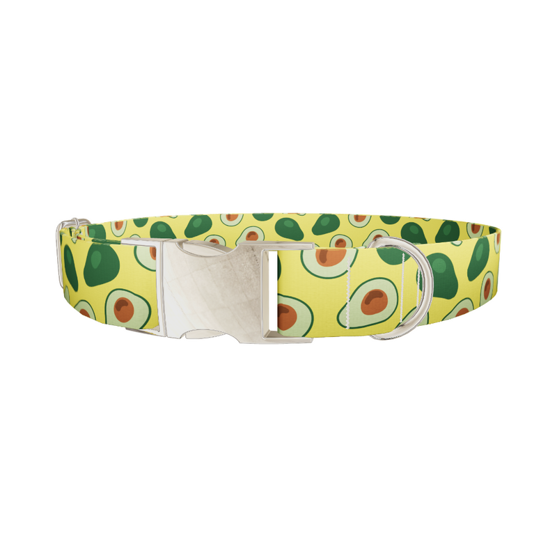 Avocado Fruit Dog Collar
