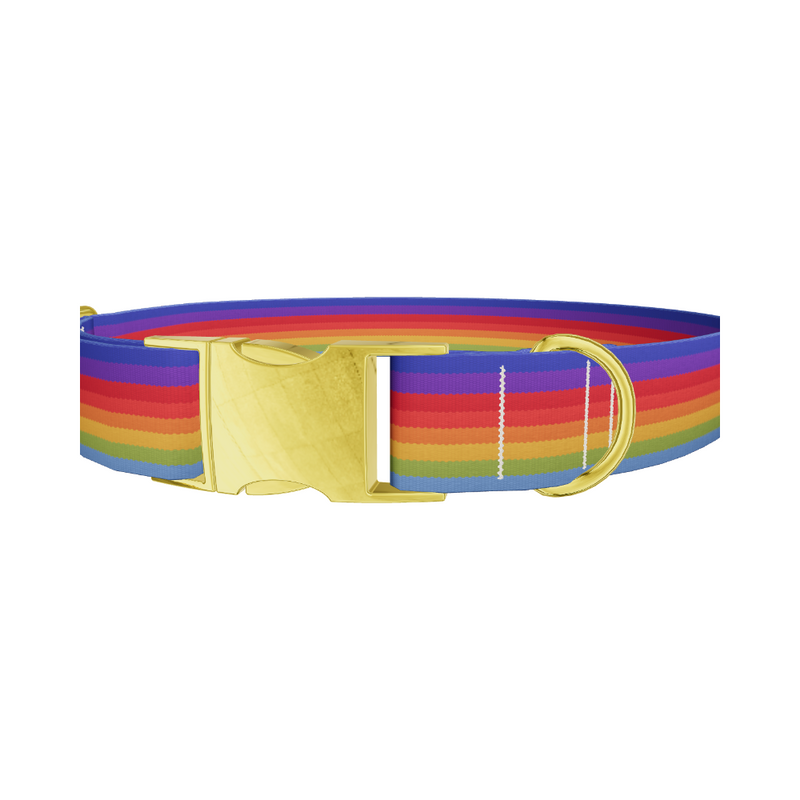 Rainbow Hexagon Dog Collar