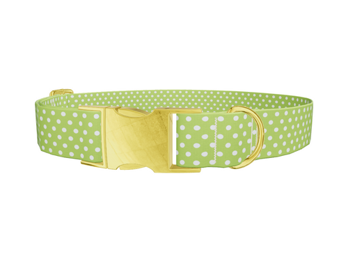 Lime Green Polka Dot Dog Collar