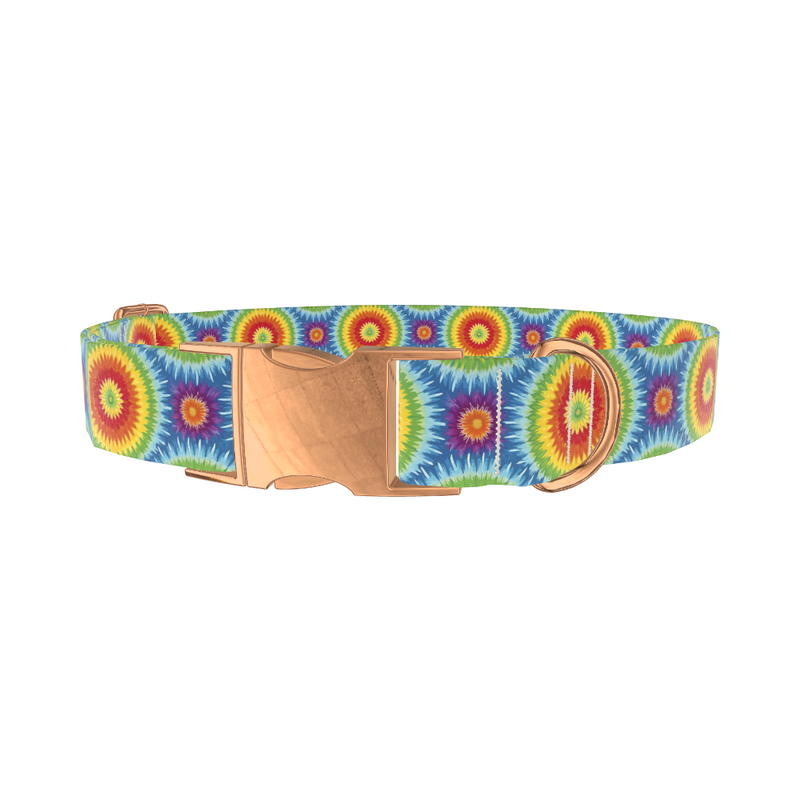 Rainbow Burst Dog Collar