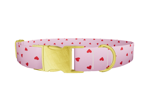 Red Heart Pink Background Dog Collar