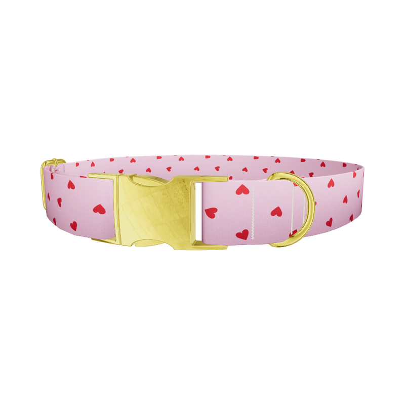 Red Heart Pink Background Dog Collar