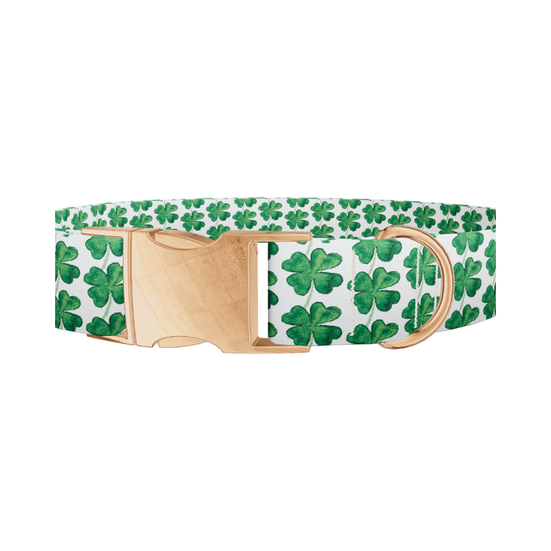 Dark Clover Pattern Dog Collar