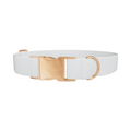 White Color Dog Collar - Thumbnail 2