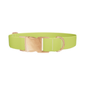 Golden Foliage Color Dog Collar - Thumbnail 2
