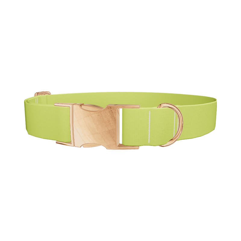 Golden Foliage Color Dog Collar