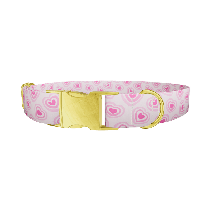 Layered Heart Dog Collar