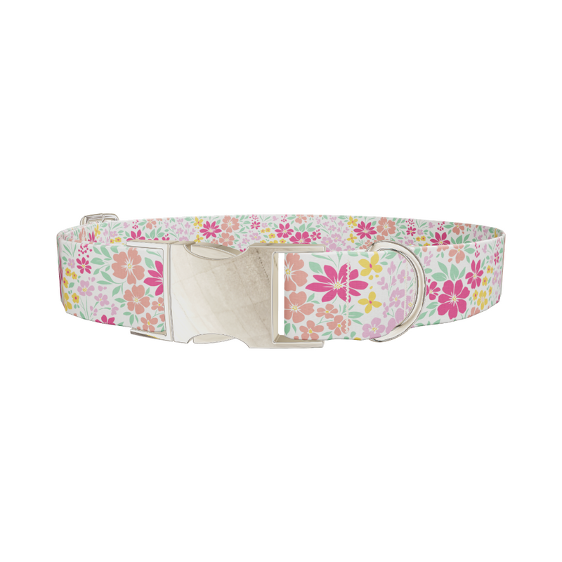 Floral Dog Collar