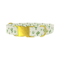 Green Cactus Landscape Dog Collar - Thumbnail 1