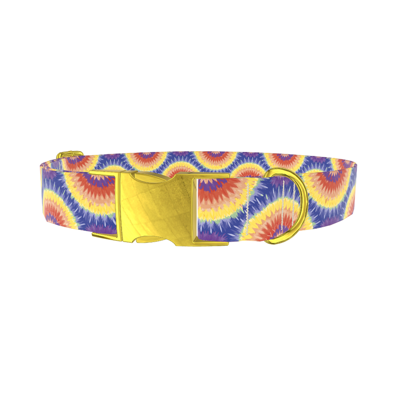 Colorful Burst Dog Collar