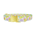 Colorful Easter Egg Pattern Dog Collar - Thumbnail 1