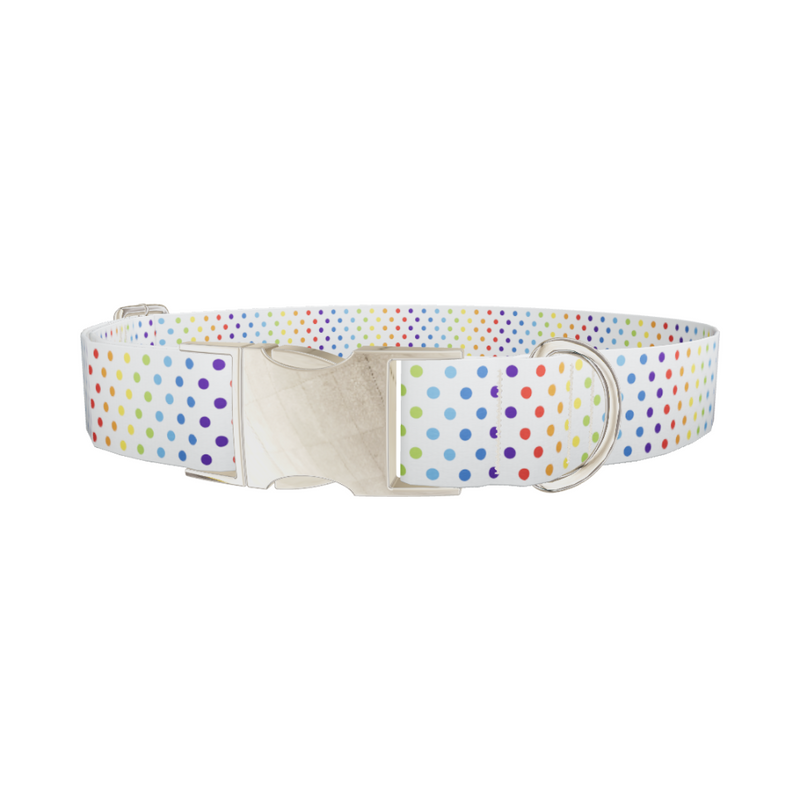 Rainbow Polka Dot Dog Collar