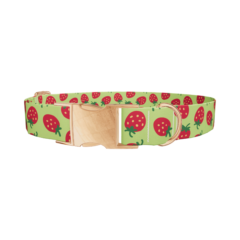 Strawberry Pattern Dog Collar