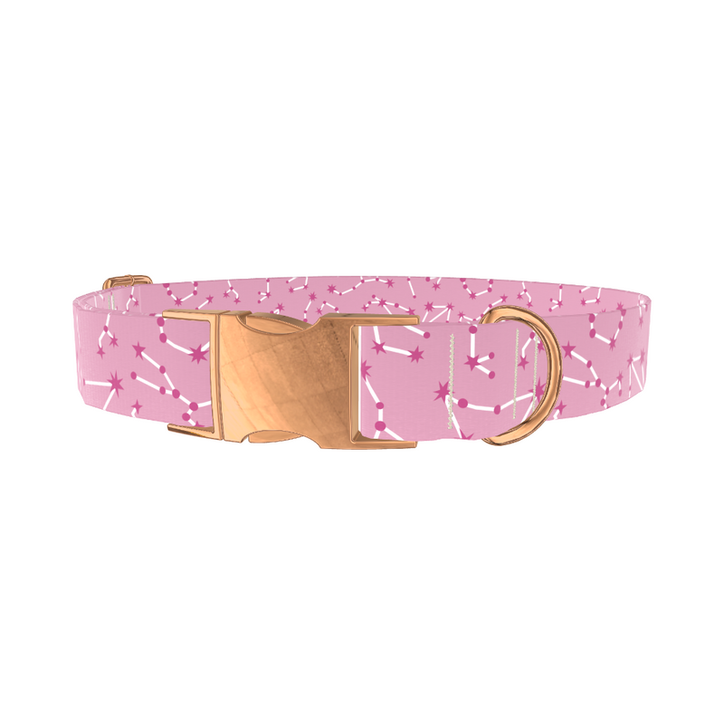 Constellation Pattern Dog Collar