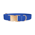 Blue Bonnet Color Dog Collar - Thumbnail 2