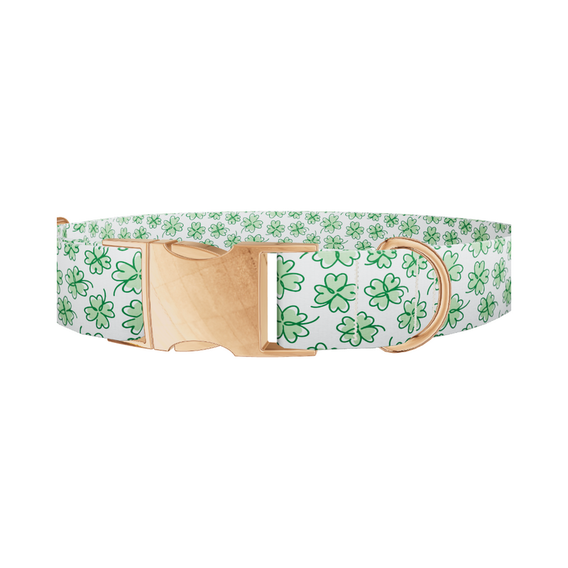 Green Clover Dog Collar