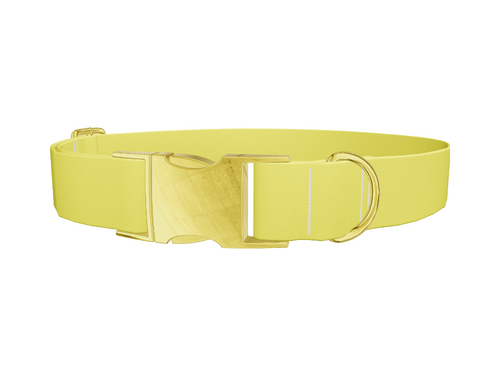 Yellow-Bellied Color Dog Collar