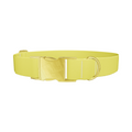 Yellow-Bellied Color Dog Collar - Thumbnail 1