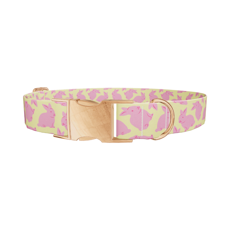 Yellow Bunny Dog Collar