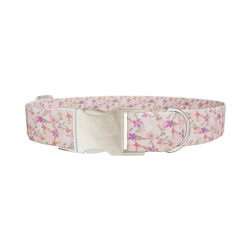 Pastel Cherry Blossom Dog Collar