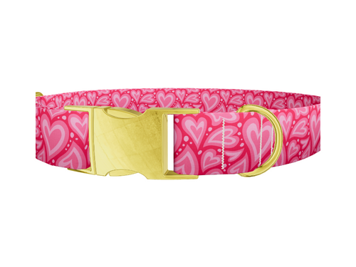 Pink Heart Burst Dog Collar
