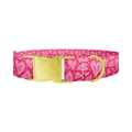 Pink Heart Burst Dog Collar - Thumbnail 1