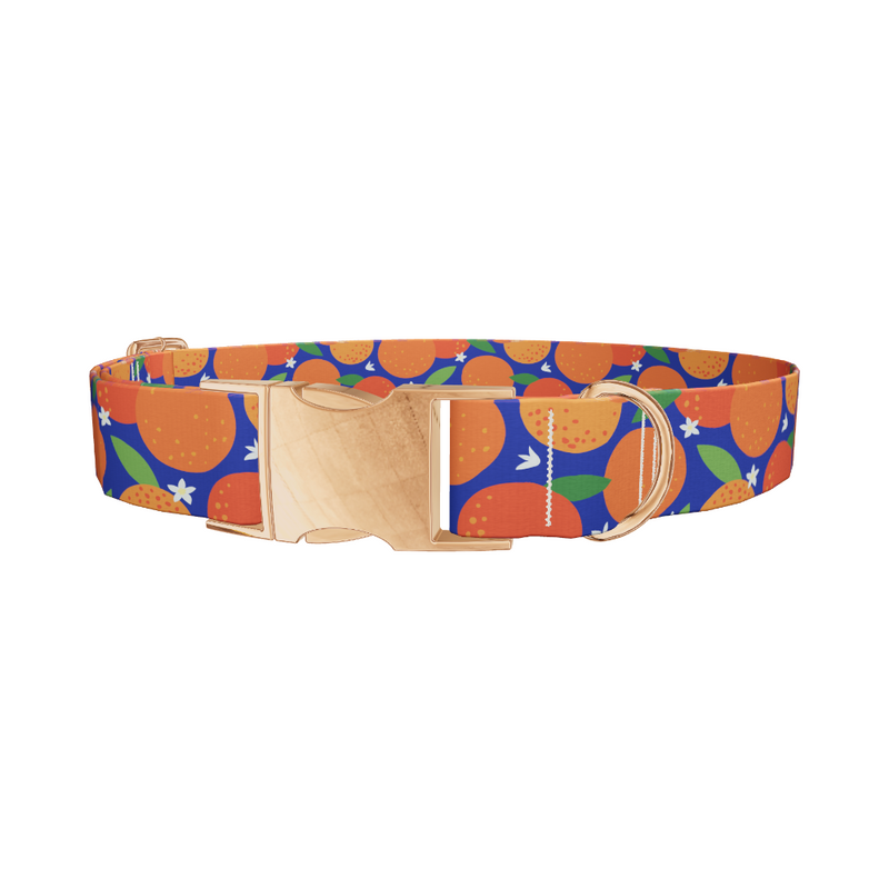 Orange Fruit Dog Collar