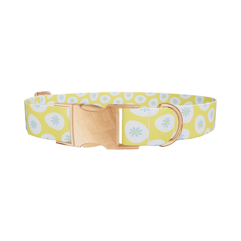 Easter Egg Floral Dog Collar