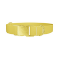 Golden Kiwi Color Dog Collar - Thumbnail 1