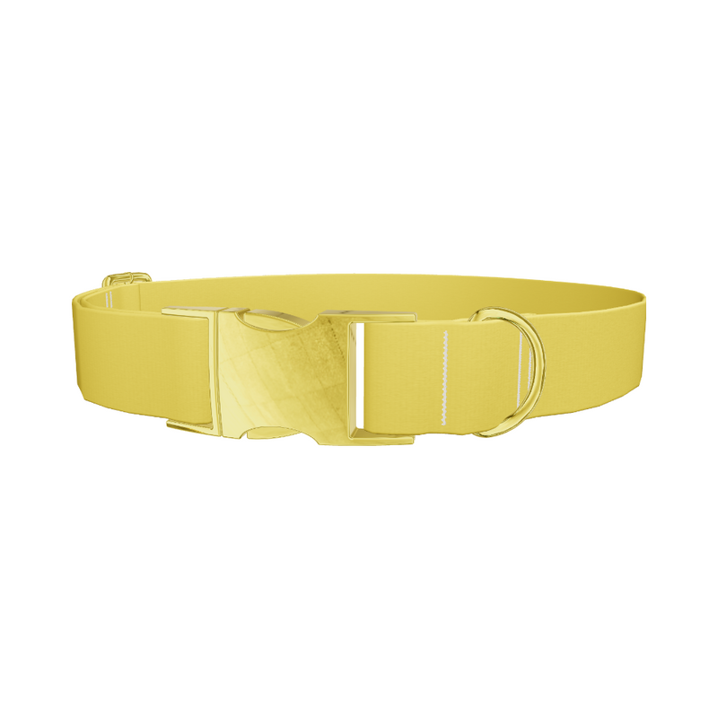 Golden Kiwi Color Dog Collar
