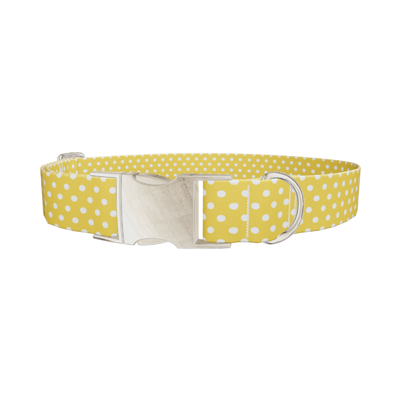 Polka Dot Dog Collar