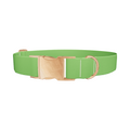 Lost Golfer Color Dog Collar - Thumbnail 2
